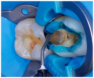 Saudi Medical Journal