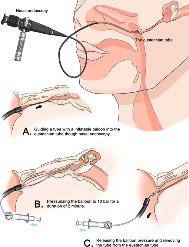 Saudi Medical Journal