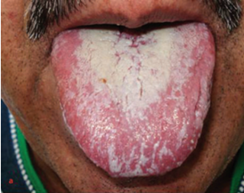 Saudi Medical Journal