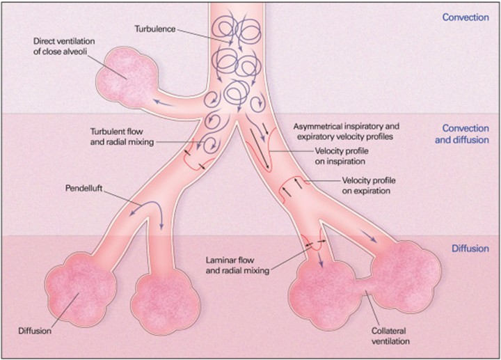 Saudi Medical Journal
