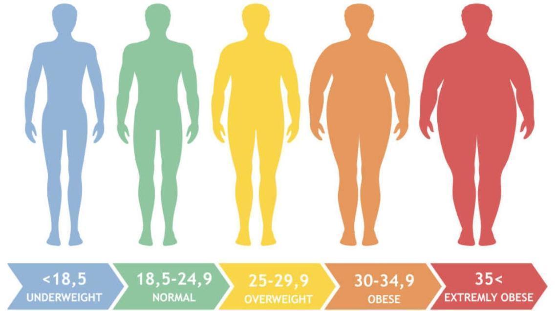 bmi calculator women for knee surgery